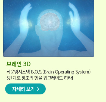 브레인 3D 뇌운영시스템 B.O.S.(Brain operating System) 5단계로창조의 힘을 업그레이드?하라!