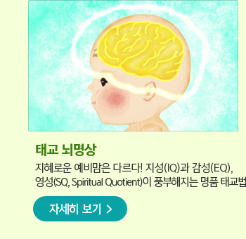 태교 뇌명상 지혜로운 예비맘은 다르다! 지성(IQ)과 감성(EQ), 영성(SQ, Spiritual Quotient)이 풍부해지는 명품 태교법